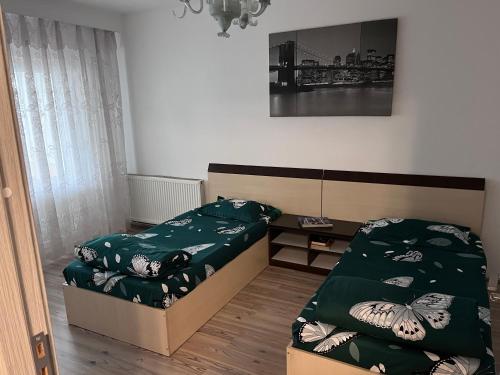 Apartament In Centrul Orasului