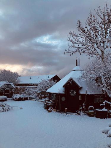 Jardí, Det blågrønne Hus (Det blagrønne Hus) in Hals