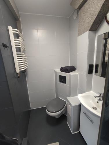 Apartament Fiński z sauną, Szklarska Poręba (foto 8)