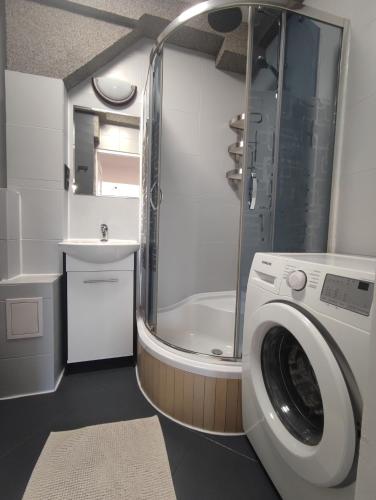 Apartament Fiński z sauną, Szklarska Poręba (foto 9)