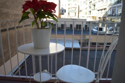 Somnio Hostels - image 4