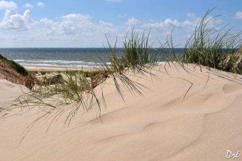 Instalaciones, Strandhotel de Vassy in Egmond aan Zee