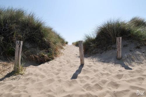 Strandhotel de Vassy - image 5