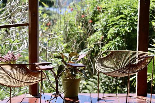 Eden Jungle Lodge Panama