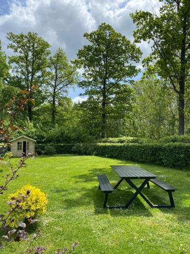  L´écureuil des Lacs-4 pers in Froidchapelle