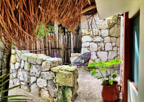 Casa Tortuga