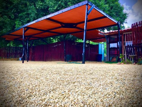 The shack life in Heidelberg