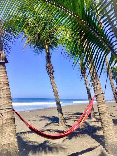 Ola Bonita BeachFront Apart Hotel photo