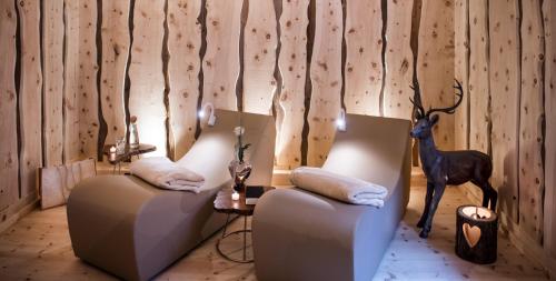 Hotel Rosa Eco Alpine Spa Resort - image 4