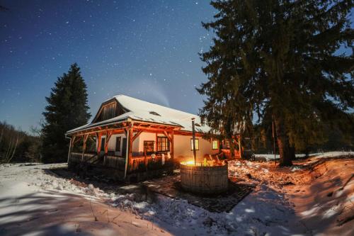 Karstais baseins, Dobrica Hunting Lodge in Bixad