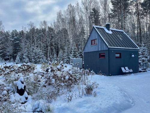Putnu pirts, Saulkrasti (fotografie 9)