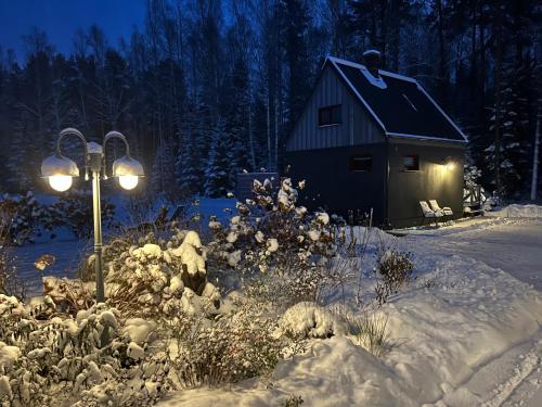 Putnu pirts, Saulkrasti (fotografie 8)