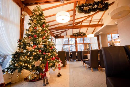 Restaurant Pensiune Bucovina - image 8