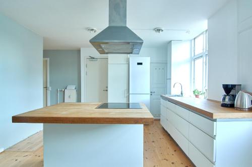 Large Modern Apartments By Meat Packing District in central Copenhagen, Copenhagen (photo 6)