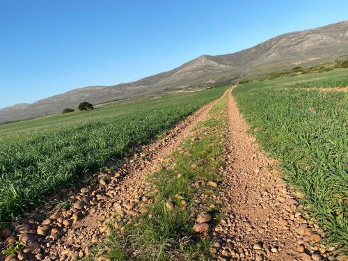 Kadie's Landing House - Living The Breede