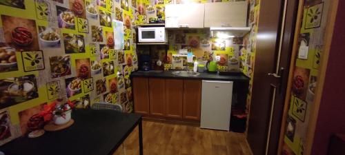 Apartamenty z ogrodem 2 typu studio