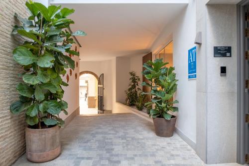 Two-Bedroom Apartment image 9