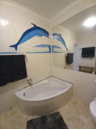 Dolphin Den, Port Shepstone (fotografie 9)