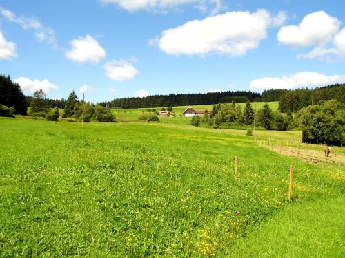 施瓦扎瓦尔德霍夫度假屋 施瓦扎瓦尔德霍夫度假屋