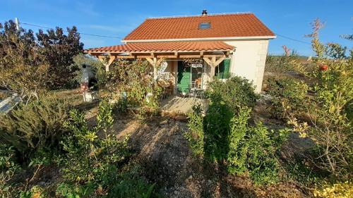 Villa Maria holiday country family house