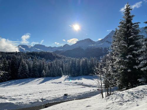 Guardaval, Arosa (photo 8)