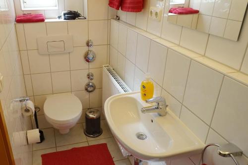 Campus Apartment Anton in Dresden, Deutschland