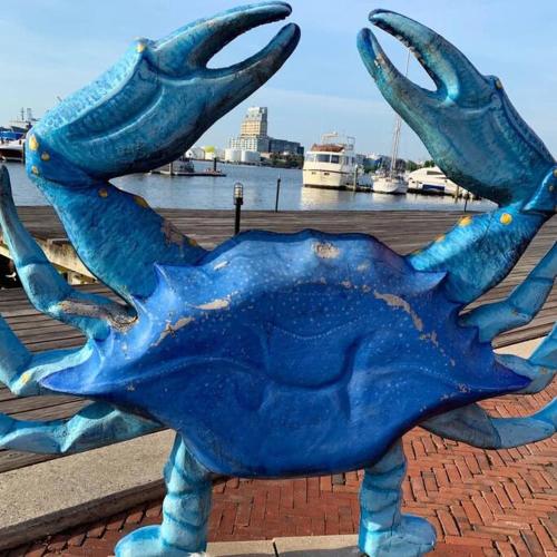 Fells Point roof decks amazing view