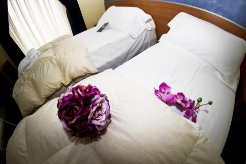 Best Western Hotel Class - image 4