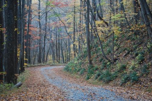Sawmill Cottage near Shenandoah NP Old Rag and White Oak Canyon in Бостон