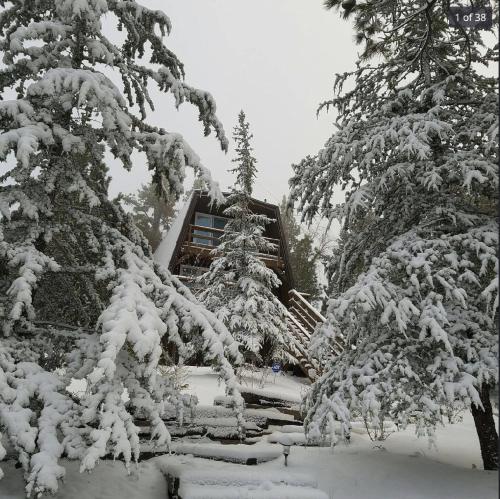 Maison Solange-Red Barn Farmhouse Style- Moonridge in Big Bear Lake, USA