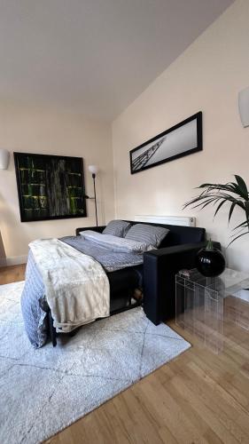 Central London spacious Studio