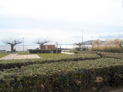 Appartement Balaruc-les-Bains 1 pièce 4 personnes - FR-1-503-51 - image 2
