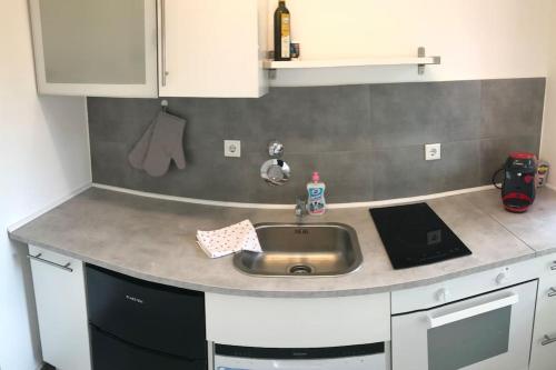 Cozy Apartment near Maschsee, balcony, gardenview, Hannover (fotografie 6)