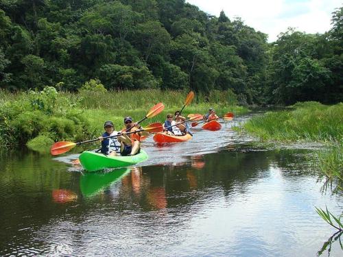 Photo - Gatun Lake Lodge Hotel