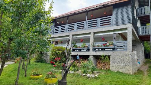 B&B Ciungetu - Pensiunea Poiana Soarelui - Bed and Breakfast Ciungetu