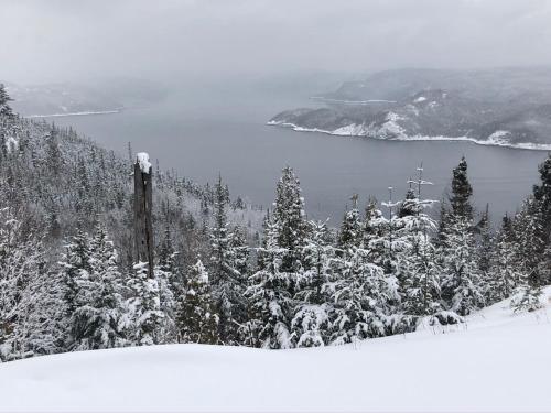 Le Refuge de mon père