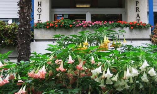 Hotel Prati - image 2