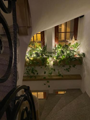 Arte-locum Apartamenty przy Rynku - image 3