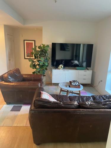 Super-Cute 2/2 apartment in Santa Monica with free parking, Los Angeles (fotografie 3)