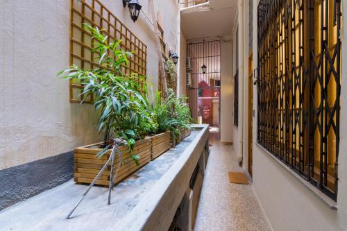 Stoa Kairi Loft A, Athènes (photo 10)