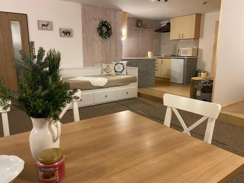 keittiö, Apartmany Silver in Rokytnice nad Jizerou