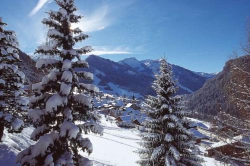 Studio centre Châtel avec coin montagne - Location saisonnière - Châtel