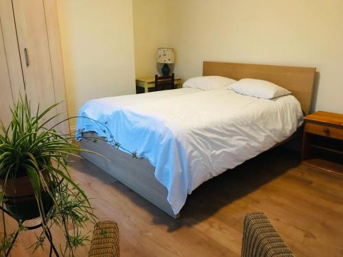 Nice rooms in a private house! in Eastville