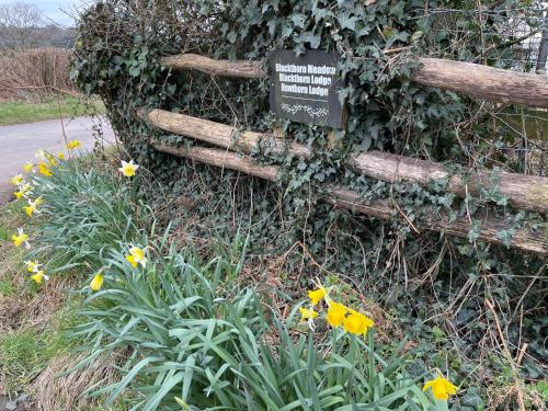 Blackthorn Meadow