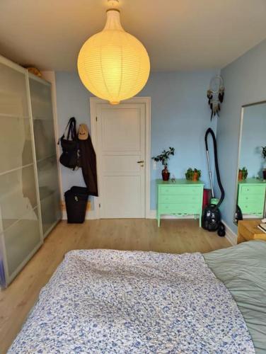  Cozy apartment shared kitchen and bathroom in Kopenhagen
