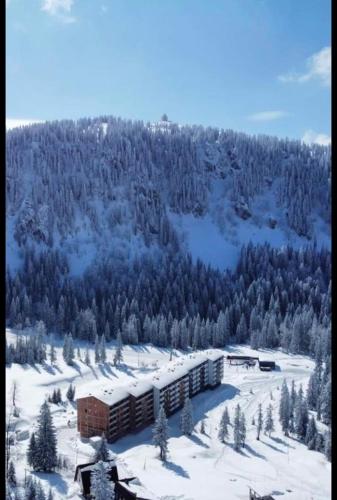 Apartman Winter night Snježna dolina