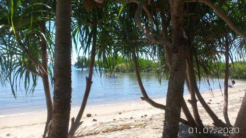 Beach, The Lazy Tiki in Guimaras Island