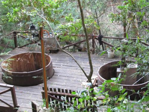ECOHOSTAL HUELLAS DEL BOSQUE in 拉斯阿尼馬斯