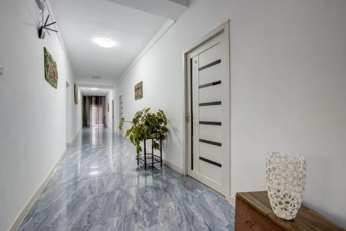 Olive hotel Kochkor in Koçkor