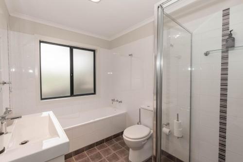 Eclipse 4 10 Nettin Circuit